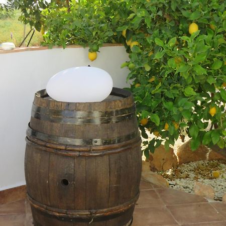 B&B Finca La Manchica Cartagena Exteriér fotografie