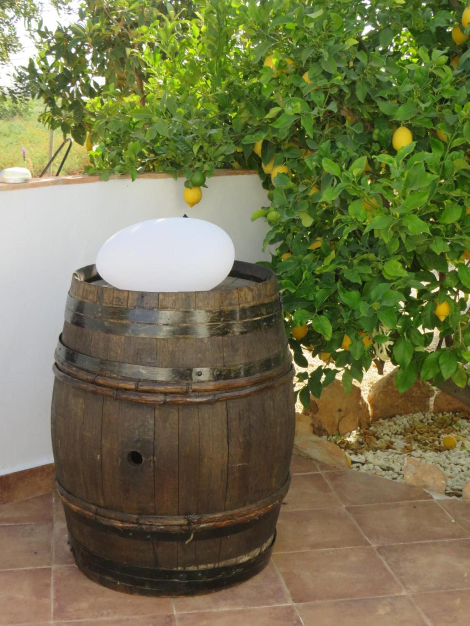 B&B Finca La Manchica Cartagena Exteriér fotografie